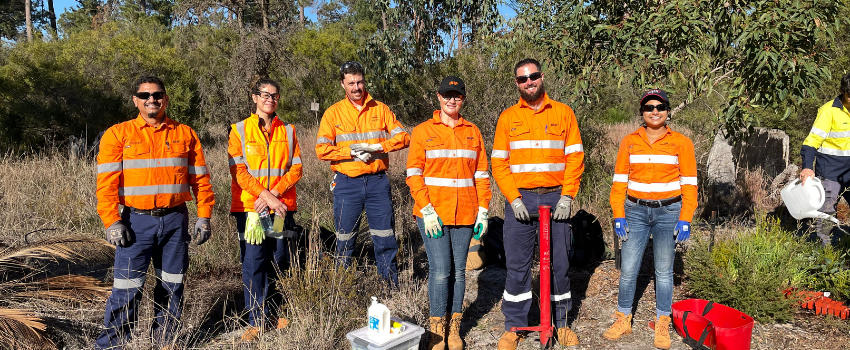 Bankwest volunteers